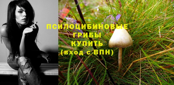 СК Аркадак