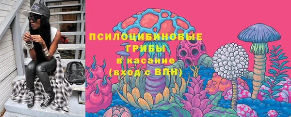 Альфа ПВП Арсеньев