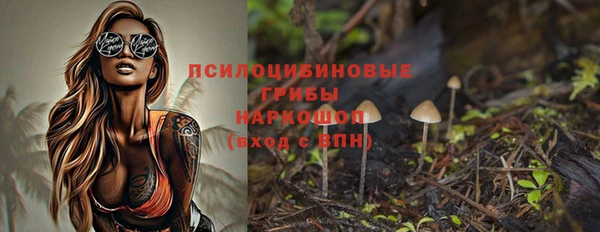 СК Аркадак