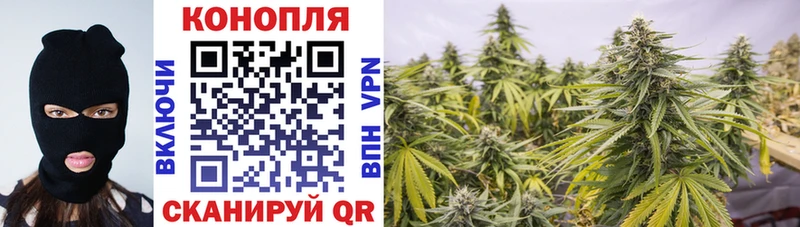 Каннабис марихуана  где можно купить   Багратионовск 